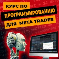Professional Robot Programming Course for MetaTrader